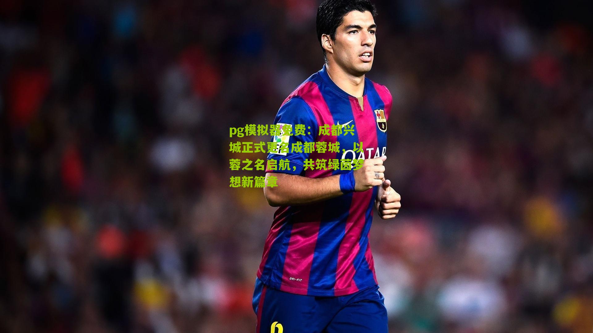 成都兴城正式更名成都蓉城,以蓉之名启航,共筑绿茵梦想新篇章